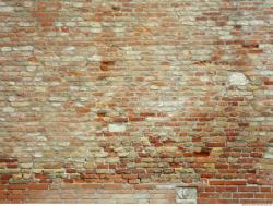 Photos of Various Textures